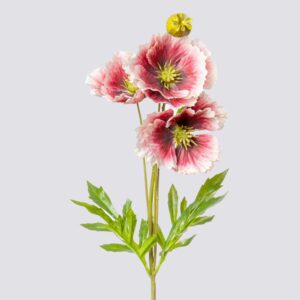 POPPY X3 1 BUD 69CM-BG-CR