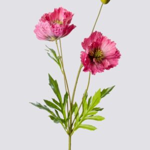 POPPY X3 1 BUD 69CM-DKRD