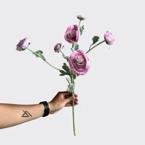 RANUNCULUS SPRAY TG H62CM-PIBG