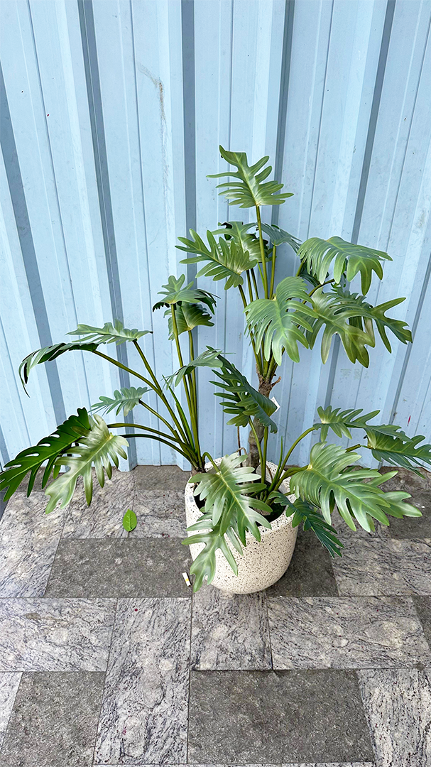 12102024 Artboard 1 copy 4