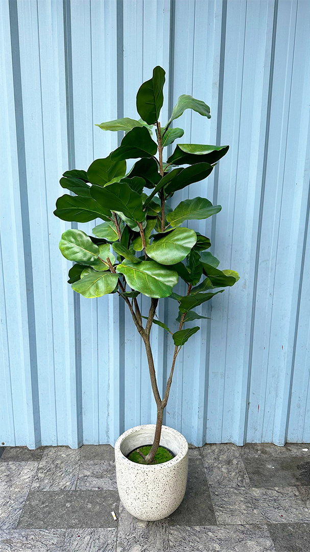 12102024 Artboard 1 copy